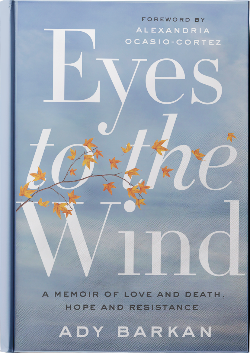Book cover for Eyes to the Wind by Barkan, Ady