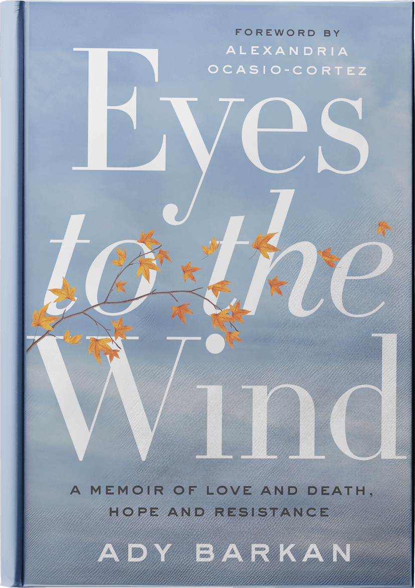 Book cover for Eyes to the Wind by Barkan, Ady